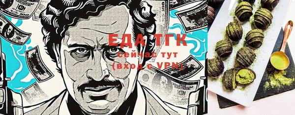 индика Алексин