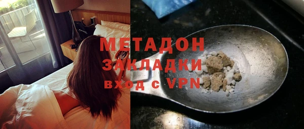 индика Алексин