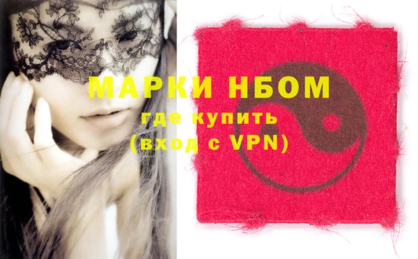 индика Алексин