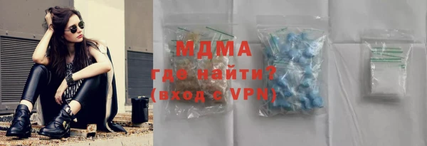 индика Алексин