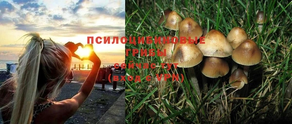 эйфоретик Абинск