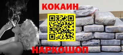 крисы Кулебаки