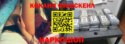 крисы Кулебаки