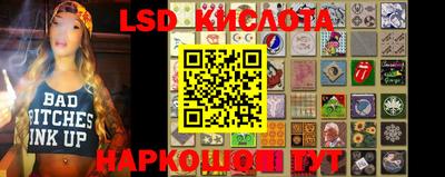 крисы Кулебаки