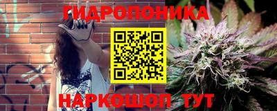 крисы Кулебаки