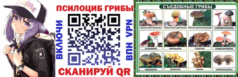 где можно купить   Златоуст  Галлюциногенные грибы Psilocybe 