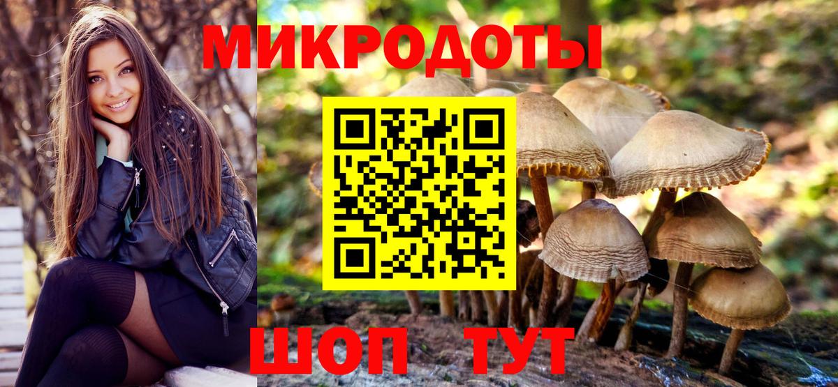 Галлюциногенные грибы Cubensis Златоуст
