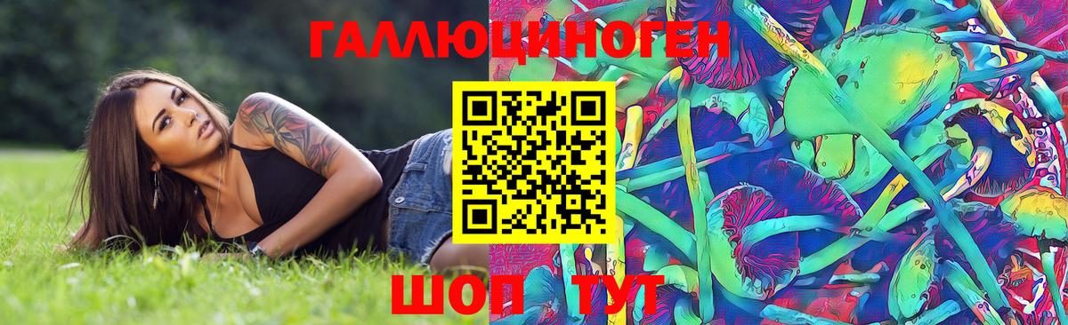 Златоуст  Псилоцибиновые грибы ЛСД  Вход с VPN 